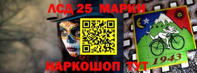 крисы Партизанск