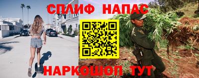 молекула духа Пенза