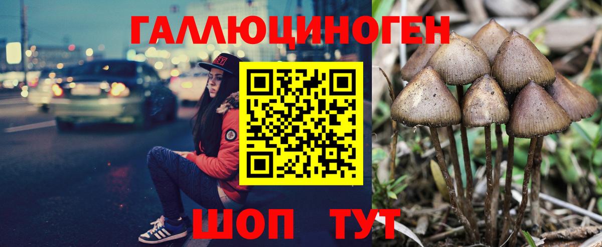 Псилоцибиновые грибы Magic Shrooms Сызрань